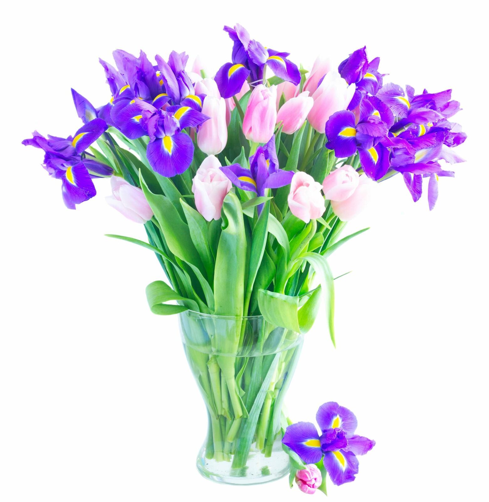 Spring Charm - Tulips & Irises Delivery Ukraine (regular - as shown irises)