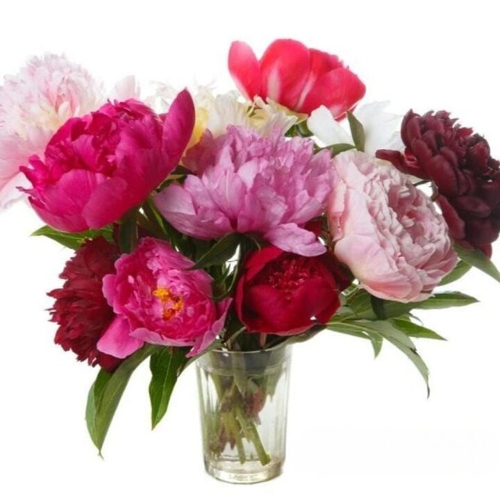 Vehement Love Peony Bouquet