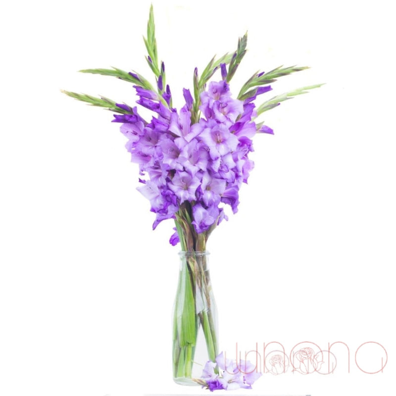 Violet Love Bouquet