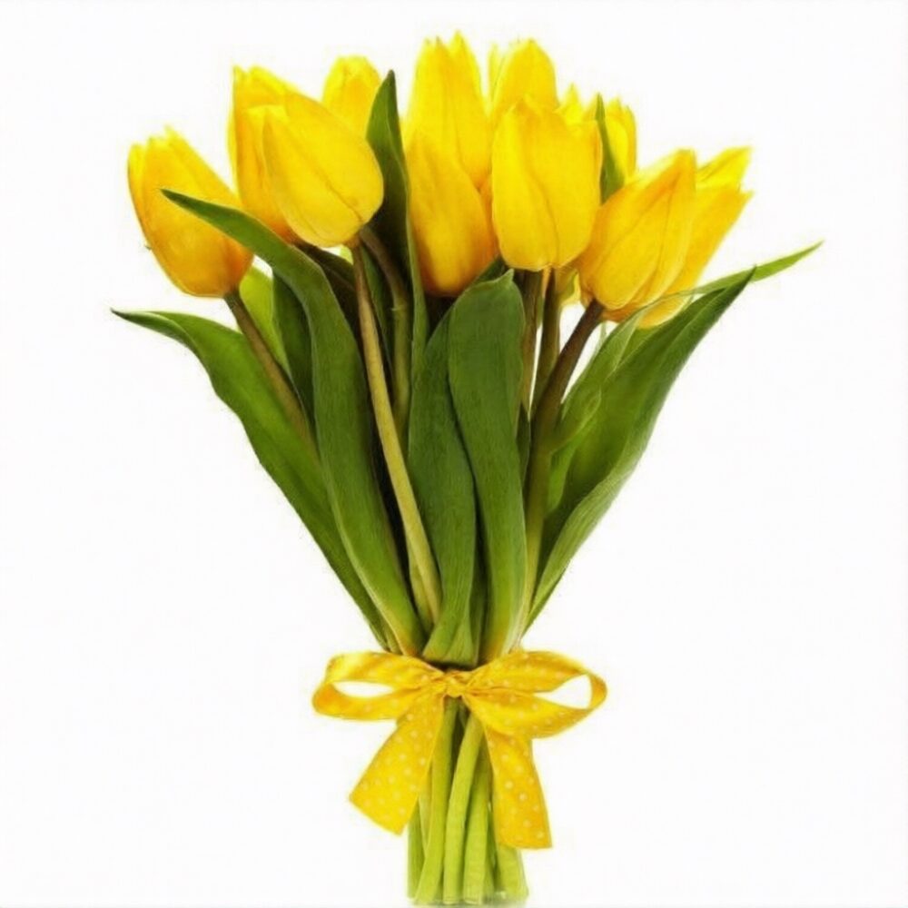 Wonderful Tulips Bouquet