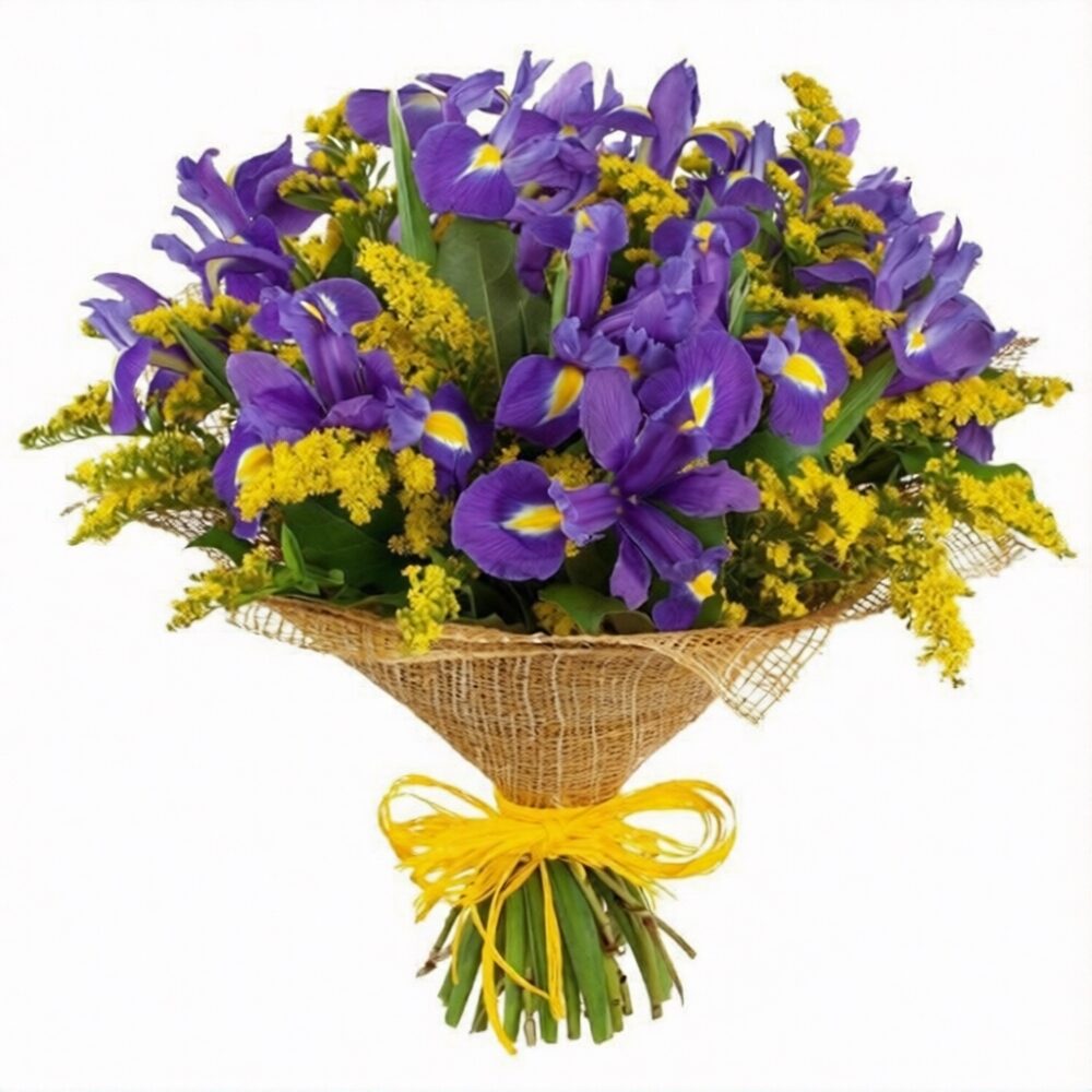 You Are Unique Bouquet - 15 Purple Irises & Yellow Solidago (regular - fresh quality flowers)