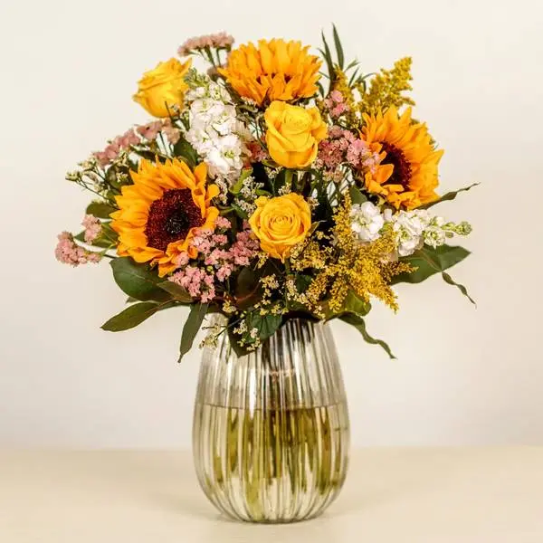 Sunflower Meadow