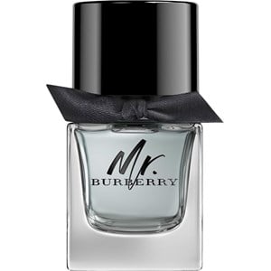 Mr. Burberry Eau De Toilette Spray By Burberry (100 ml)