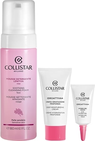 Cleansing Mousse Face Gift Set