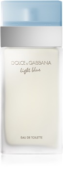 Dolce And Gabbana Light Blue (100 ml)