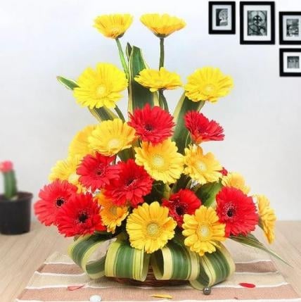 Twin Color Gerbera Arrangement (10 Red and 10 Yellow Gerbera Arrangement)