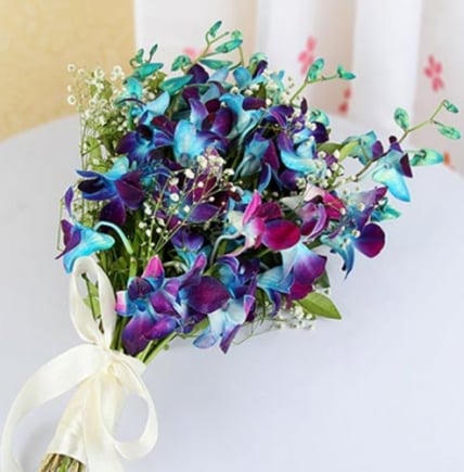 Mixed Orchids Bunch (12 Mixed Orchids)