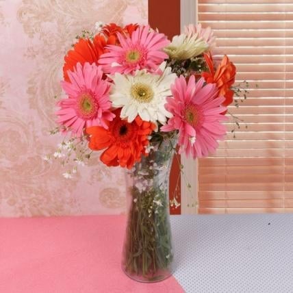 Mixed Gerbera Vase (12 Flower)