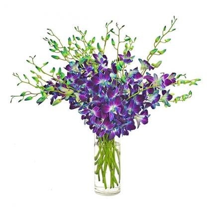 Blue Orchids Vase (12 Orchids)