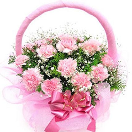 Pink Carnation Basket (24 Flower)