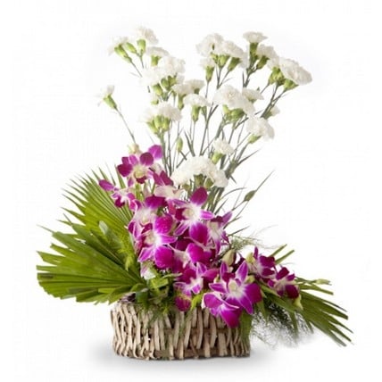 Orchids & Carnations Arrangement (8 Orchids & 15 Carnations Arrangement)