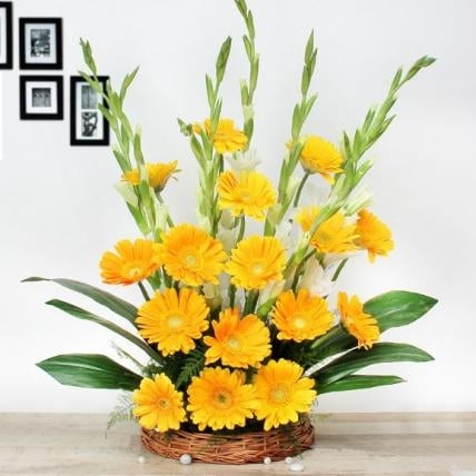 Yellow Gerbera Arrangement (12 Yellow Gerbera Flowers)