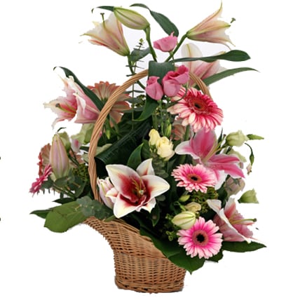 Pink Lily and  Gerbera In A Basket (5 Lily & 16 Gerberas)