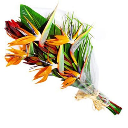 Bird Of Paradise Bouquet (5 Flower)