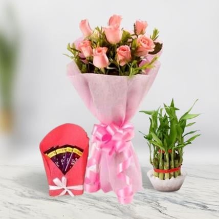 Rose Bliss Chocolate Delight (Rose Bliss Chocolate Delight)