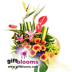 Spring Blossoms (Small)