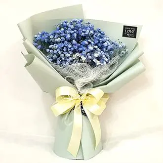 Purity French Blue