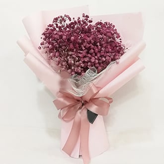 Purity Maroon (Normal)