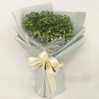 Purity Basil (Normal)