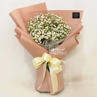 Purity Love