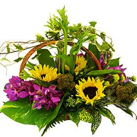 Brilliant Posy (Small)