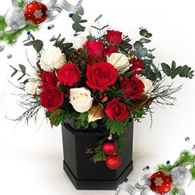 Dazzling Christmas