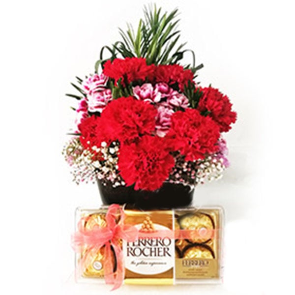 Elegance Carnations