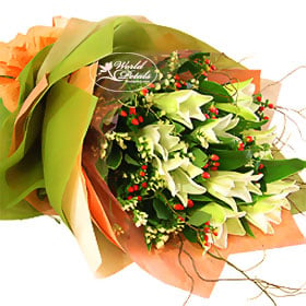 Morning Star (Medium)