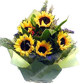 You Are My Sunshine (Small)