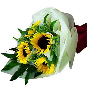 Fleur de Sun (Small)