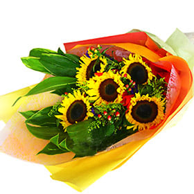 Smiling Sunshine (Normal)