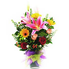 Mellifluous Mantra (Small)