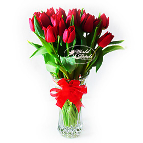 Spring Tulips (Normal)