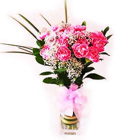Florainbow (Small)