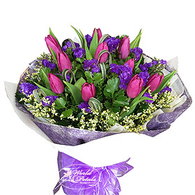 Joyous Purple (Normal)