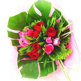 Springtime Love-1 (Medium)