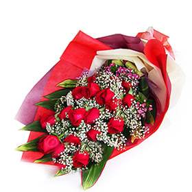 Cheery Sensation-1 (Medium)