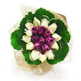 Rosy Rosy (Small)
