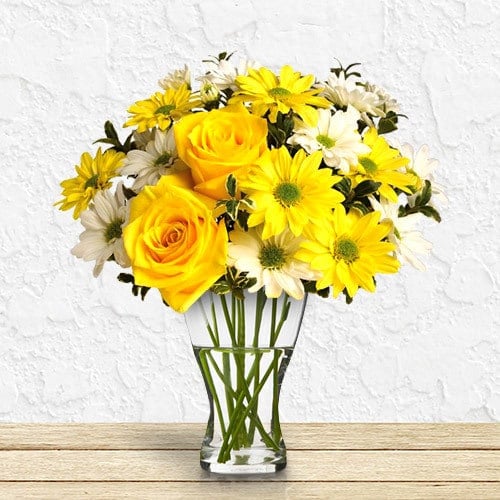 Joyous Sunshine (Small)
