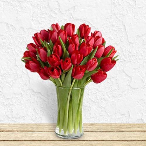 30 Beautiful Red Tulips (Small)