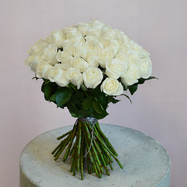 50 White Roses