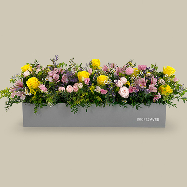 Aviva Flower Box