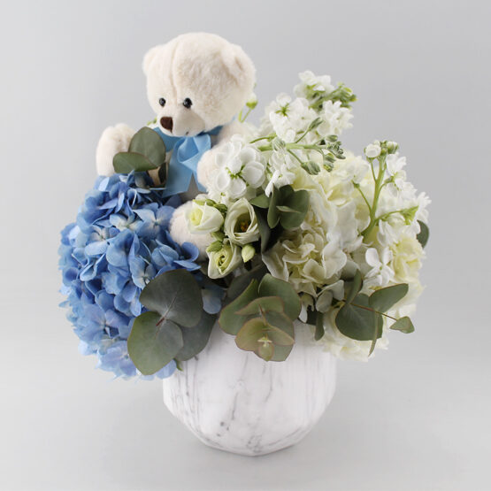 Baby Boy Surprise Package (Original)