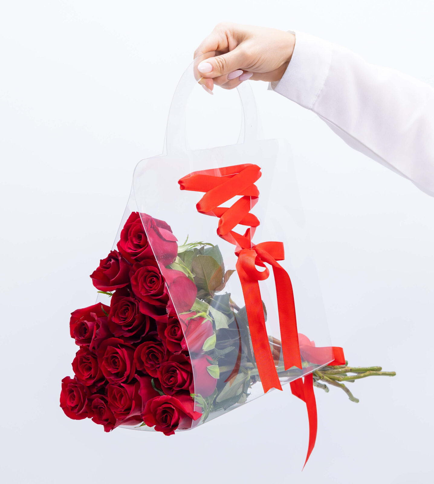 Scarlet Red Bag