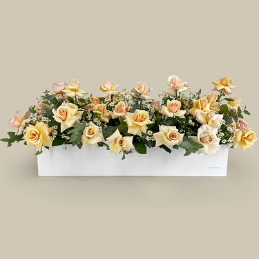Athena'S Garden Flower Box