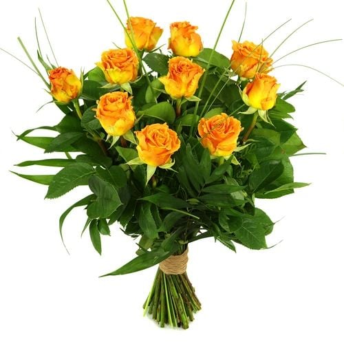 10 Orange/salmon pink or choose your own quantity (10 Orange/salmon pink with foliage)