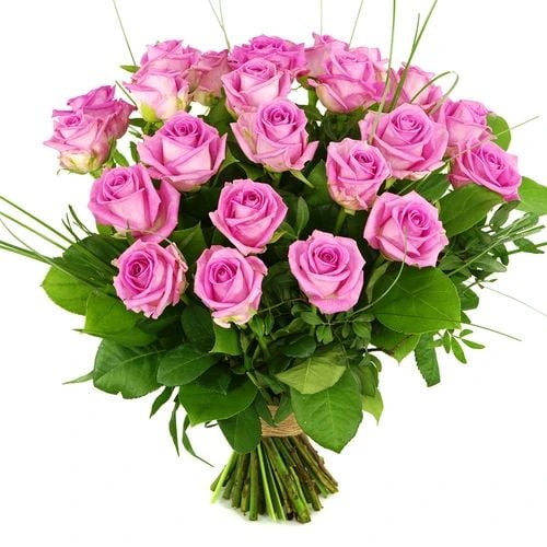 25 Pink roses (25 Rose rose with leaf material)
