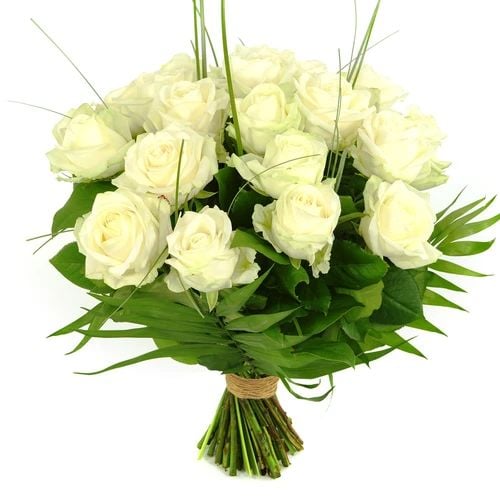 20 White roses (20 White rose with leaf material)