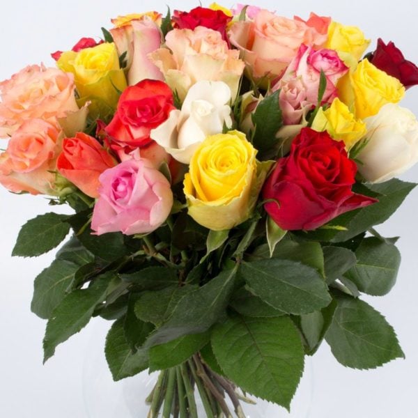Colored Roses (Medium)