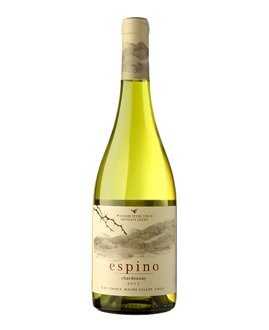 Espino By William Fevre - Chardonnay - Maipo, Chile